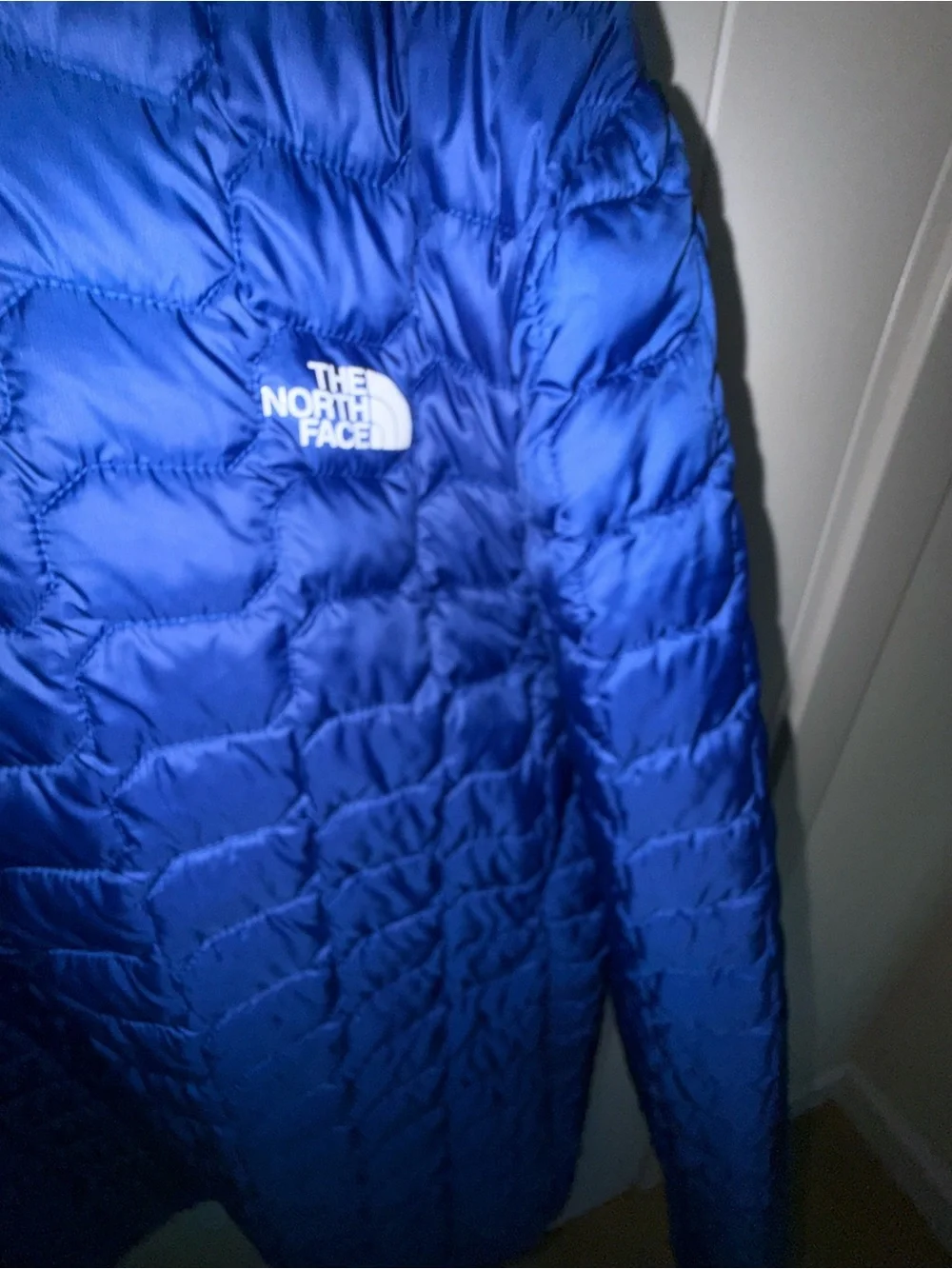 The North Face north face